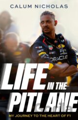 Life in the Pitlane