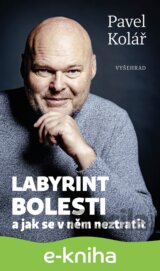 Labyrint bolesti