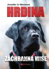 Hrdina: Záchranná mise