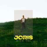 Joris:  Zu Viel Retro LP