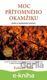 Moc přítomného okamžiku