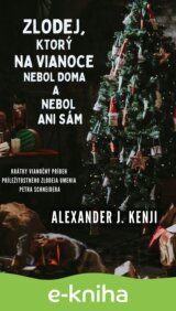 Zlodej, ktorý na Vianoce nebol doma a nebol ani sám