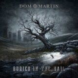 Dom Martin:  Buried In The Hail
