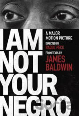 I am Not Your Negro