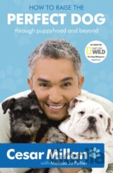 How to Raise the Perfect Dog