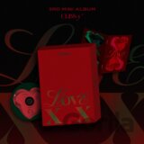 Class:Y:  Love Xx / Box edition