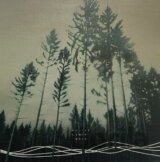 Wouter Dewit:  Hold LP