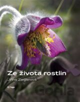 Ze života rostlin