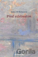 Před vzlétnutím
