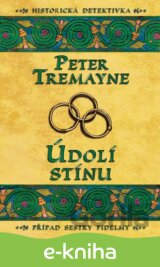 Údolí stínu