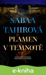 Plamen v temnotě