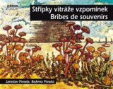Střípky vitráže vzpomínek - Bribes de Souvenirs