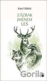 Zázrak jménem les