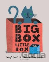 Big Box Little Box