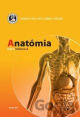 Anatómia