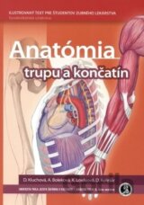 Anatómia trupu a končatín
