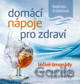 Domácí nápoje pro zdraví