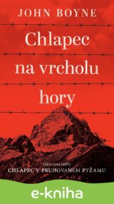 Chlapec na vrcholu hory