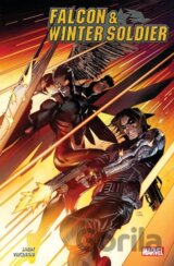 Falcon & Winter Soldier Vol. 1