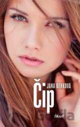 Čip