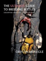 The Ultimate Guide to Breeding Beetles