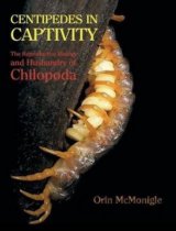 Centipedes in Captivity