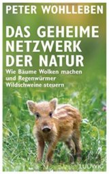 Das geheime Netzwerk der Natur