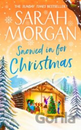 Snowed In For Christmas