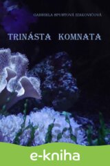 Trinásta komnata