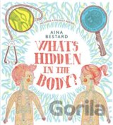 What's Hidden In The Body?