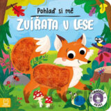 Zvířata v lese