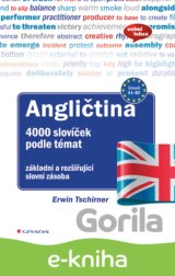 Angličtina 4000 slovíček podle témat