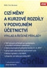 Cizí měny a kurzové rozdíly v podvojném účetnictví