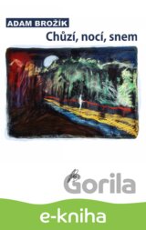 Chůzí, nocí, snem