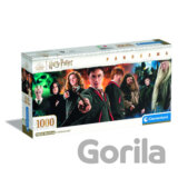 Harry Potter Panorama