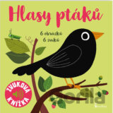 Hlasy ptáků