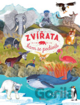 Zvířata, kam se podíváš