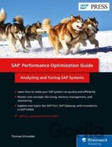 SAP Performance Optimization Guide