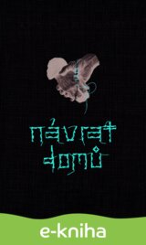 Návrat domů