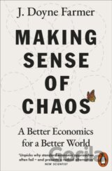 Making Sense of Chaos