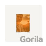 Fred Again:  Actual Life 2 (RSD 2025)  LP