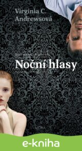 Noční hlasy