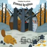 Zimná krajina