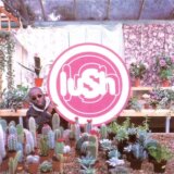 Lush: Lovelife