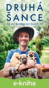 Druhá šance: Jak mě pouliční psi naučili žít