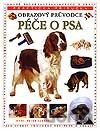 Péče o psa – obrazový průvodce