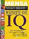 Vizuální hádanky 1 – poznejte své IQ