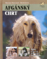 Afgánský chrt