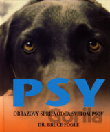 Psy