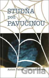 Studňa pod pavučinou